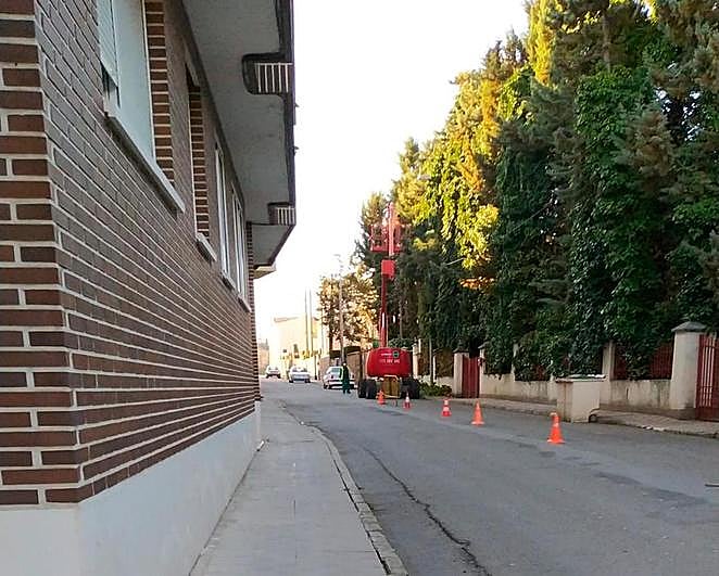 Tareas de poda de los arbustos en una propiedad privada de la calle Velázquez.