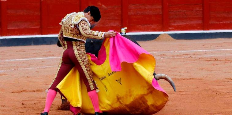 Verónica de Pablo Aguado en la última Feria de Salamanca.