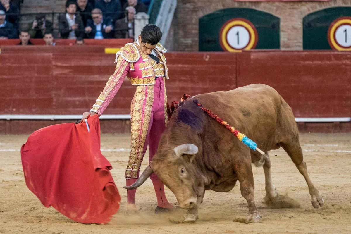 Encajado y templado muletazo de López Simón a Pasmoso, el toro indultado en Valencia en 2017. | TESEO
