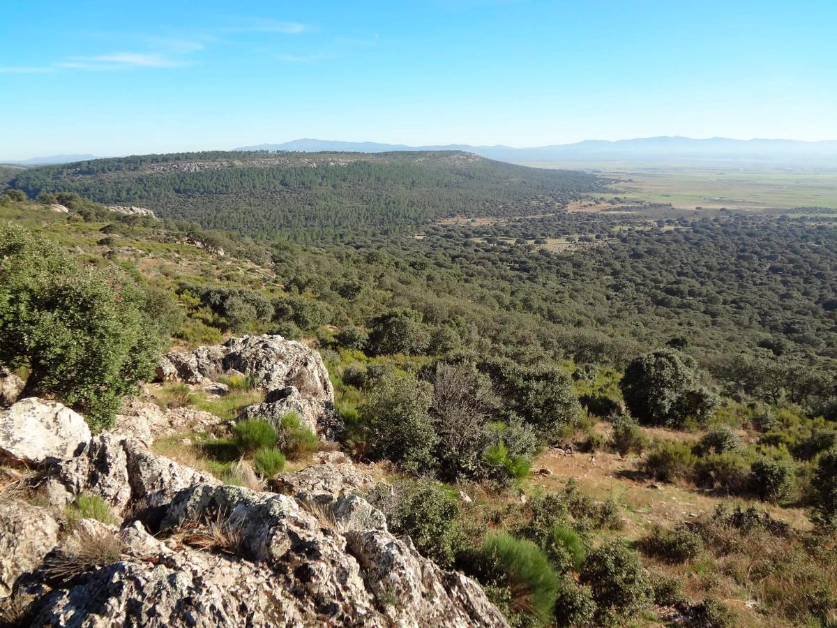 Entorno de la Sierra de Camaces.