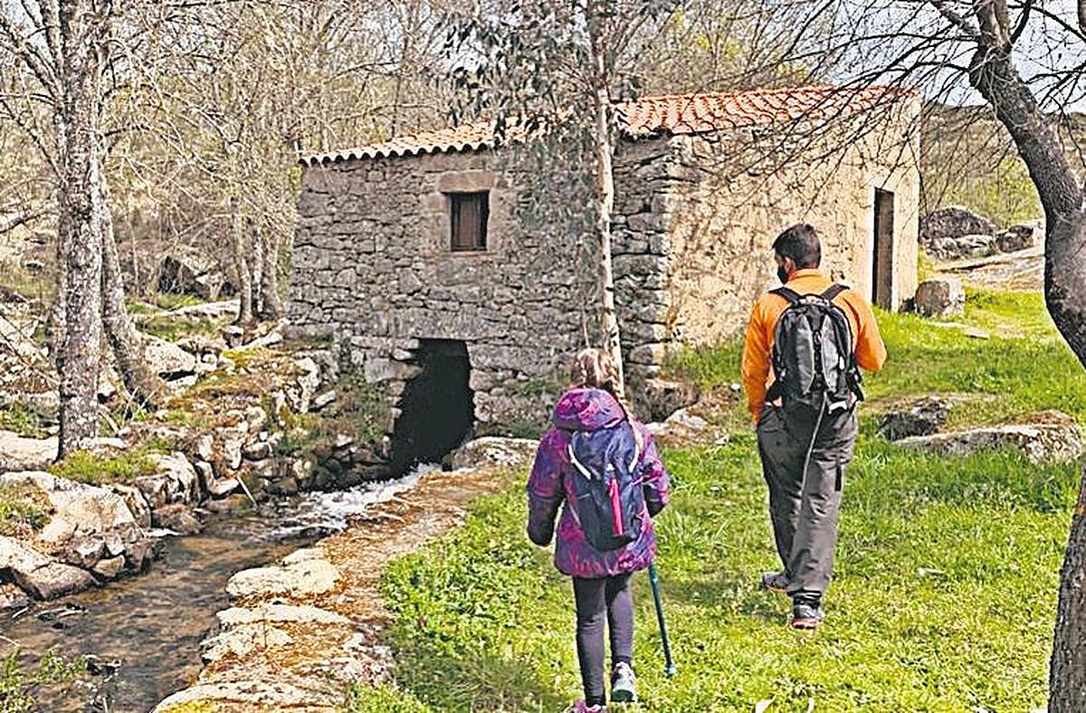 Se han recuperado dos molinos a los que además se puede entrar.