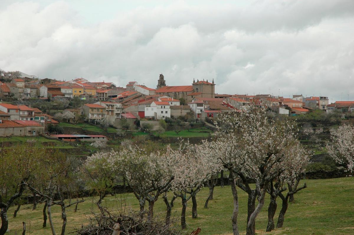 Vista general de la localidad arribeña de Vilvestre.