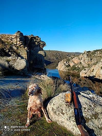 La perra Sakyra posa ante una escopeta y una pieza cobrada.