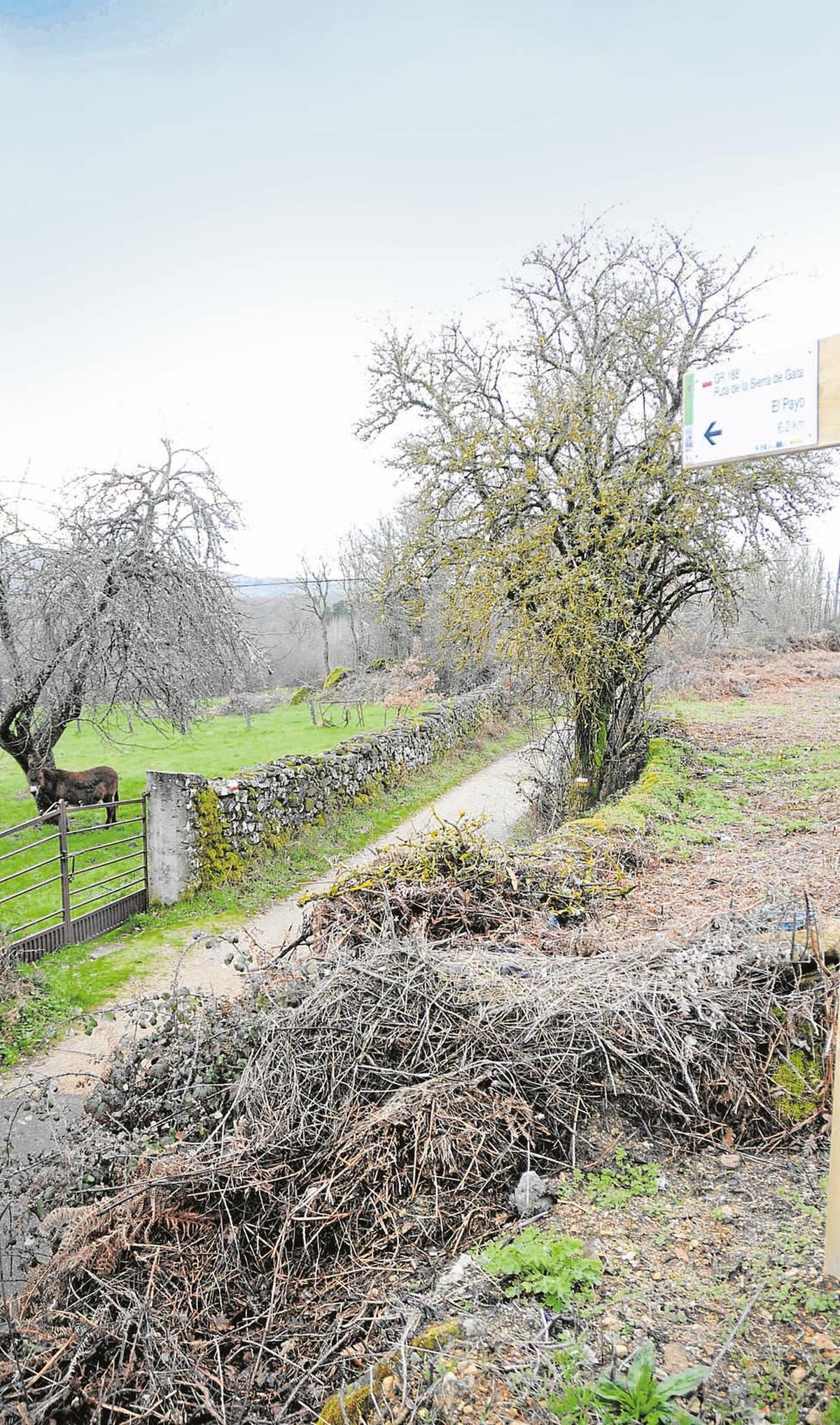 Parcela agrícola en Peñaparda.