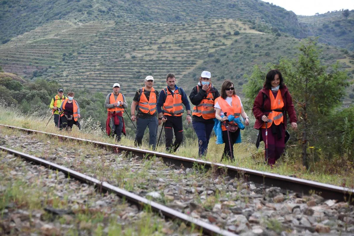 Un nutrido grupo de visitantes avanzando junto a las vías.