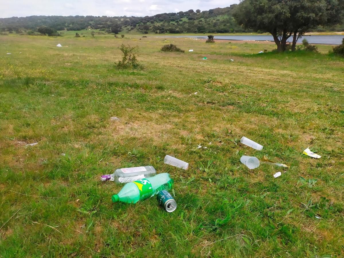 Latas, botellas y vasos en otro punto de la finca.