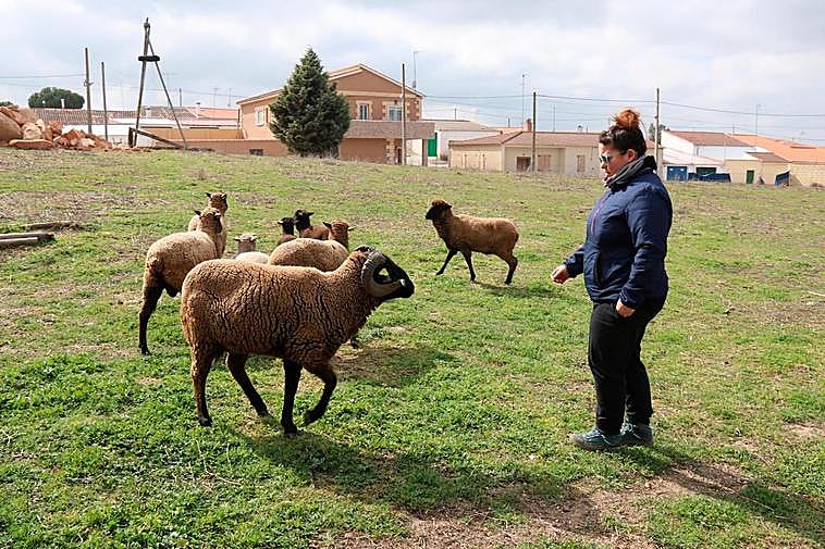 Anabel, con varias de las ovejas de la raza merina negra en peligro de extinción