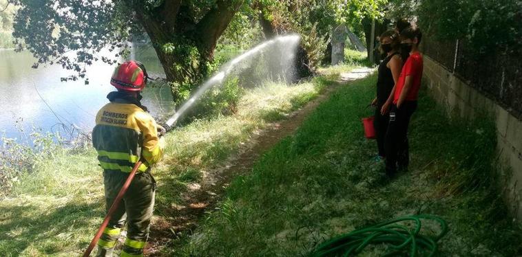 Intervención de los Bomberos en Lorenzo Milani.