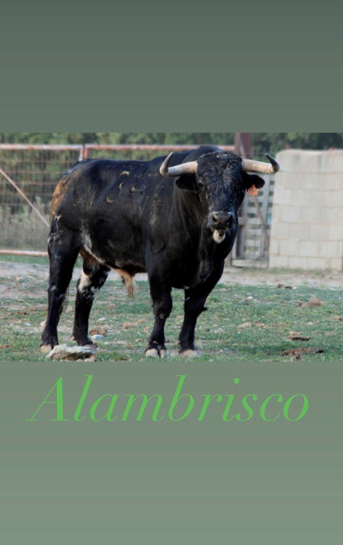 Alambrisco.