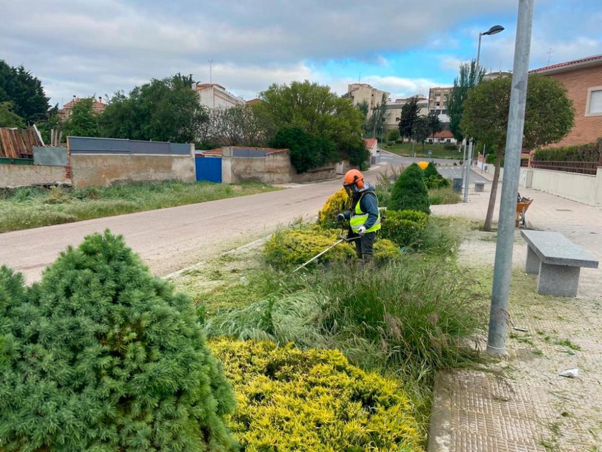 Los cuidados y preparación de las zonas verdes de la villa ducal. | EÑE