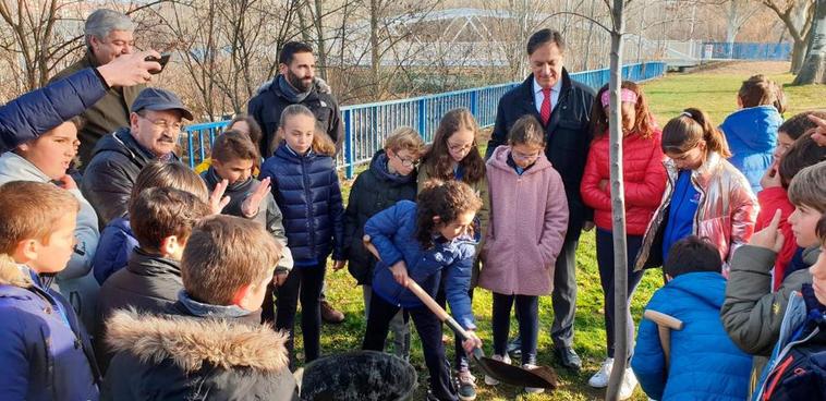 Plantación de olmos realizada en 2019 con alumnos del colegio de los Maristas.