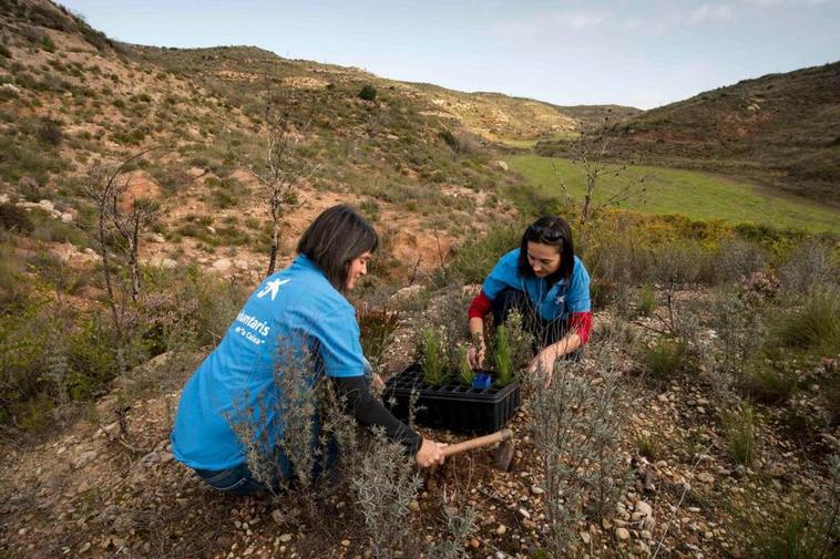 La reforestación es una parte importante del programa.