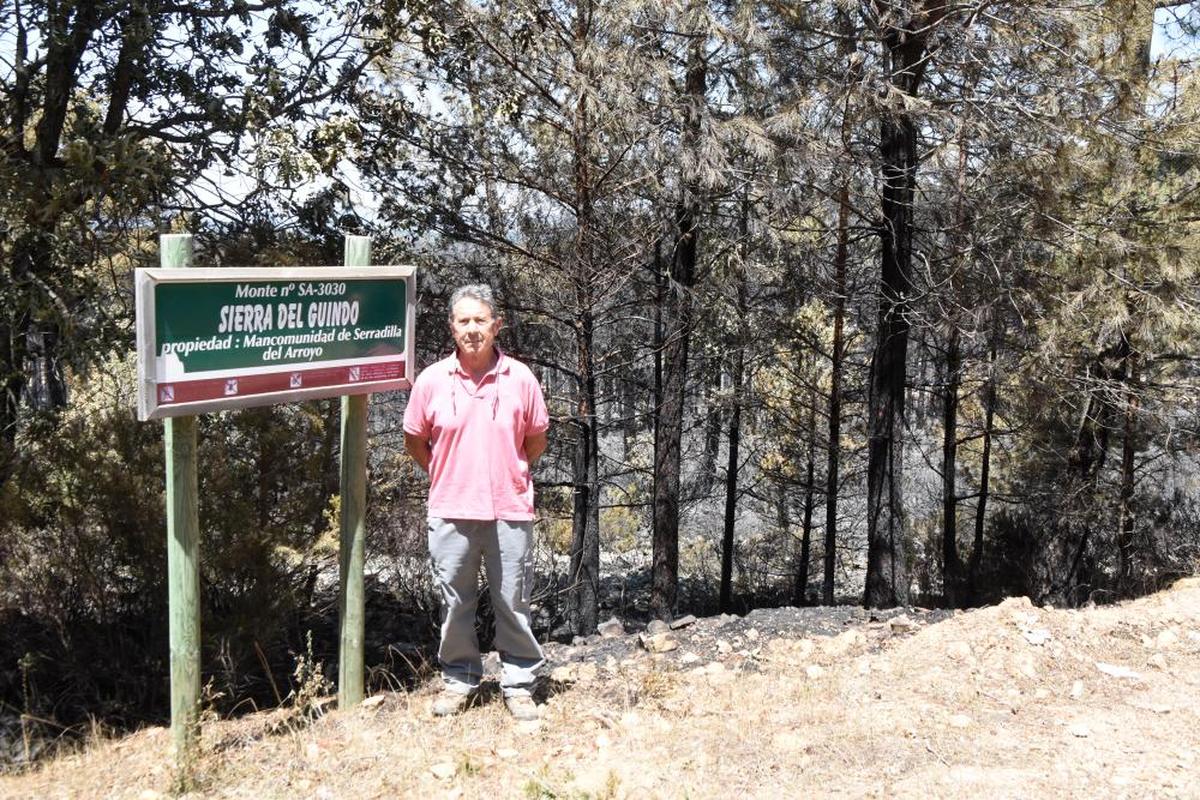 Moisés García Fraile, presidente de la comunidad de propietarios, junto a los pinos quemados y el cartel del monte “Sierra del Guindo”.