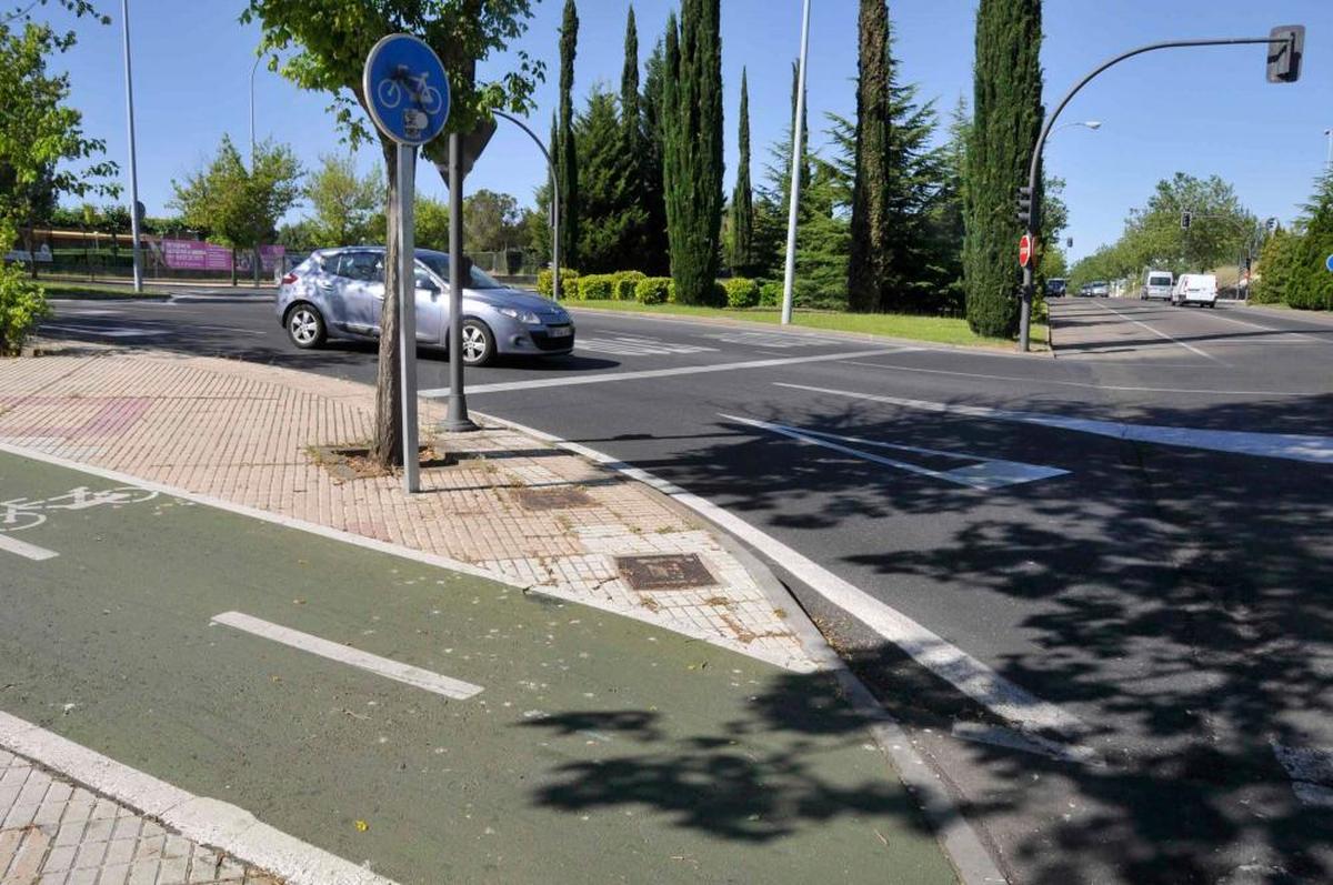 El carril bici estaba mojado y tenía resina de los árboles