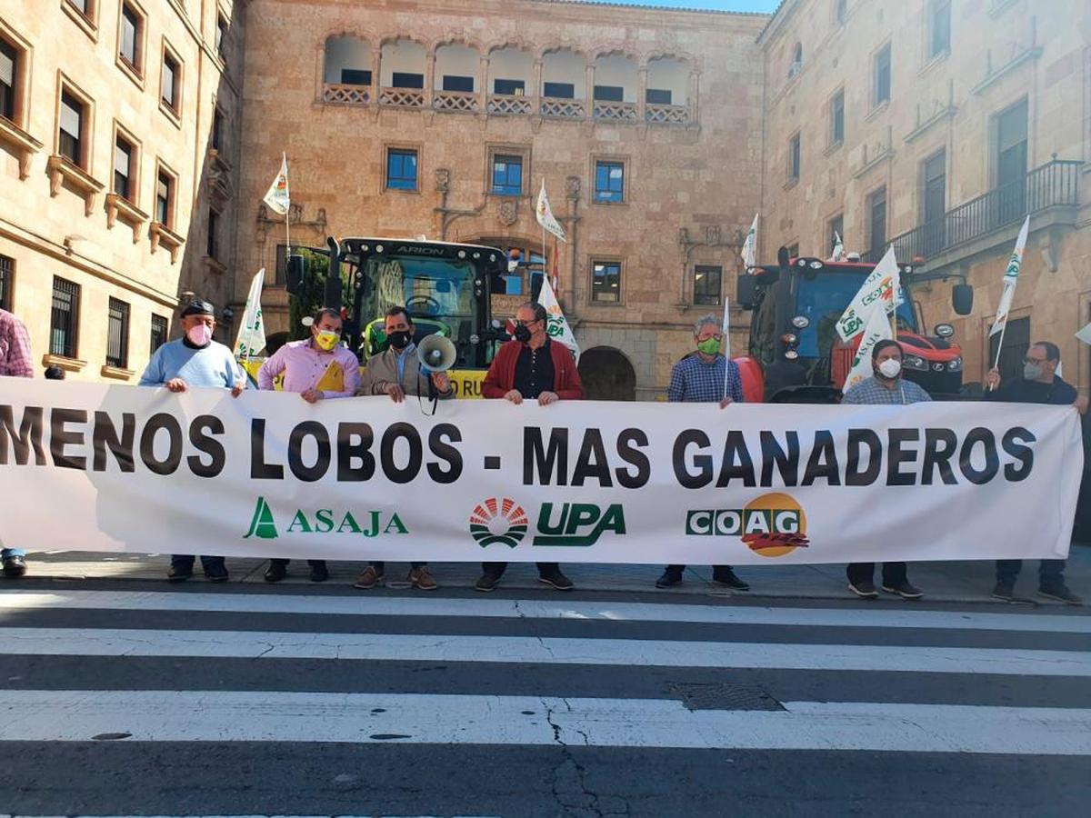 Protesta de los ganaderos de marzo en Salamanca.