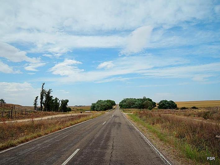 Carretera que da acceso a la finca La Carolina, que en su día acogió el poblado de Mollorido.