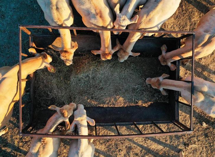 Los ganaderos se hartan de los ‘ataques gratuitos’ de Alberto Garzón