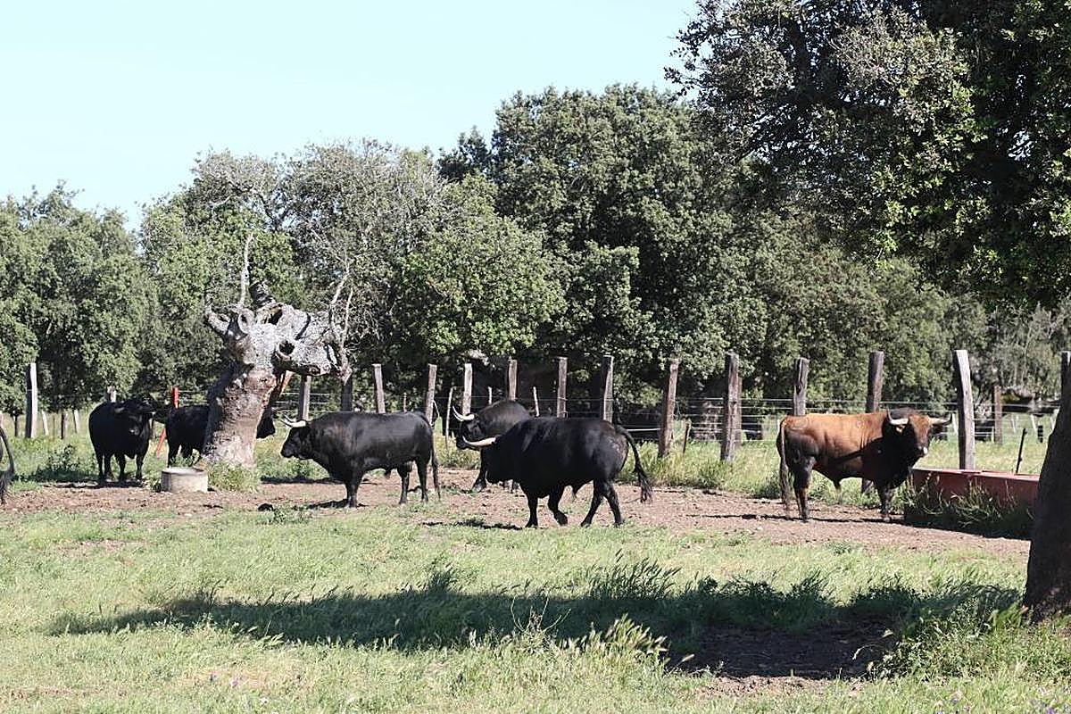 La inversión quiere incentivar el trabajo rural.