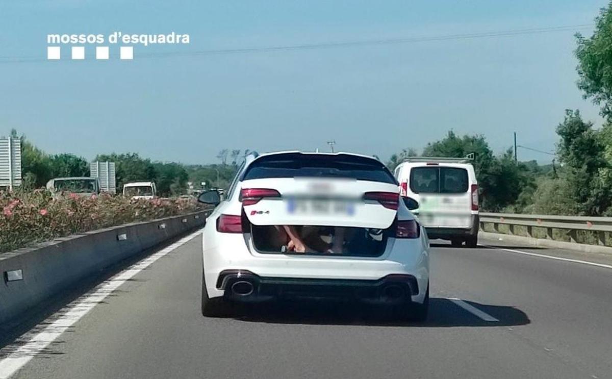 La estampa no fue a más de una simple anécdota, pero pudo haber supuesto un gran problema en la carretera.