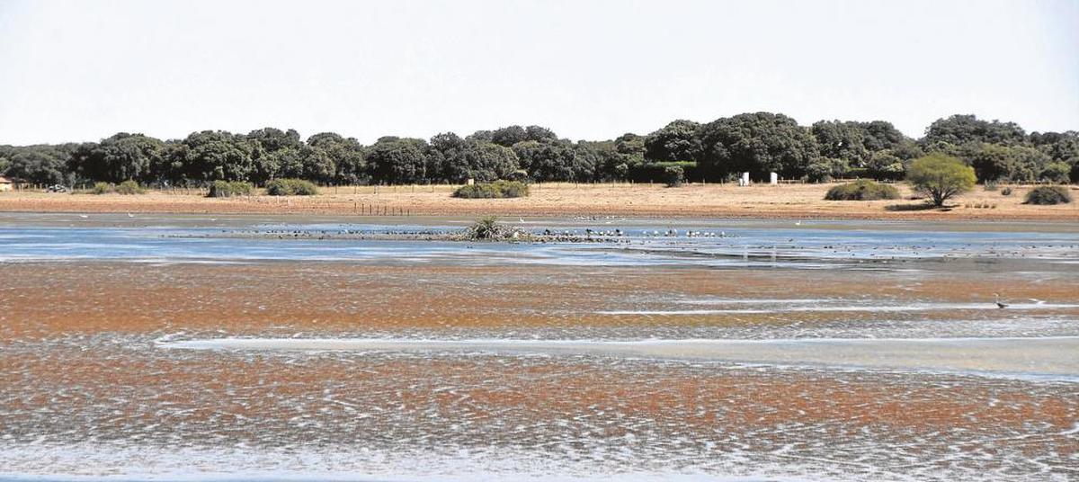 Panorámica de la laguna del Cristo, en el termino de Aldehuela de Yeltes.