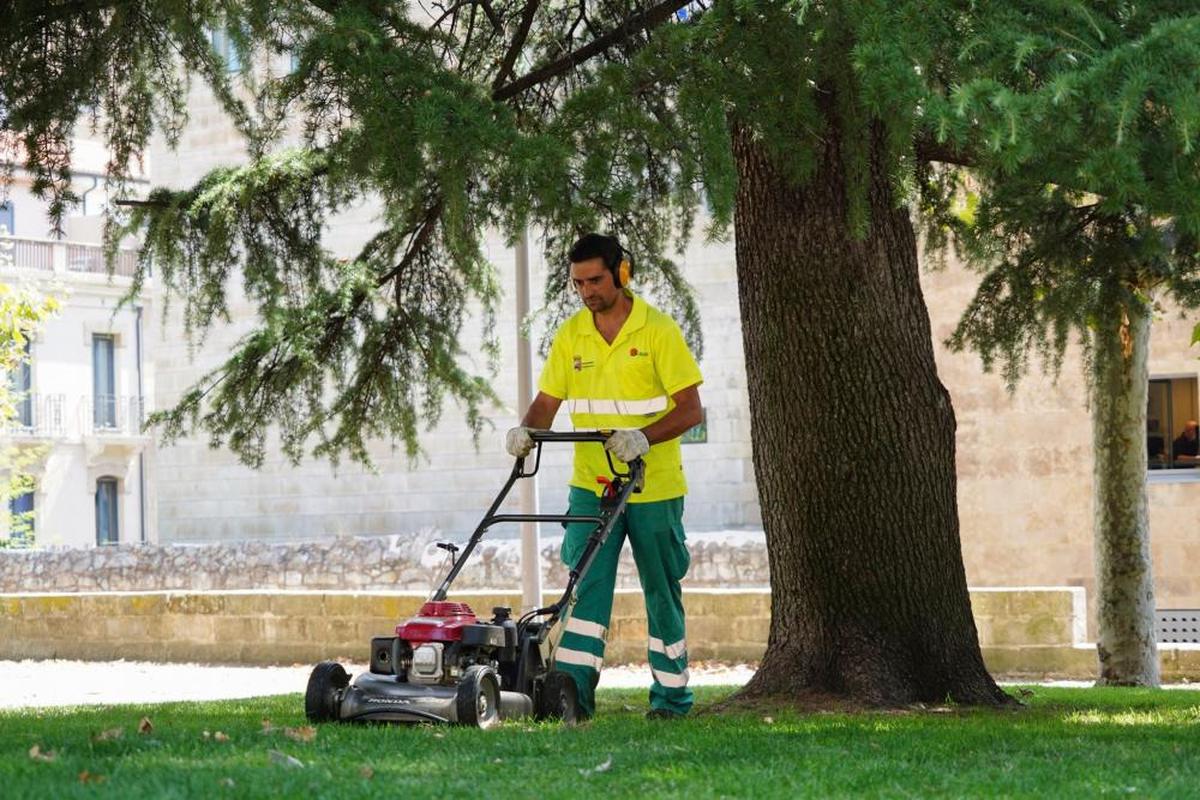 Adrián Rivas corta el césped en la Plaza de Colón.