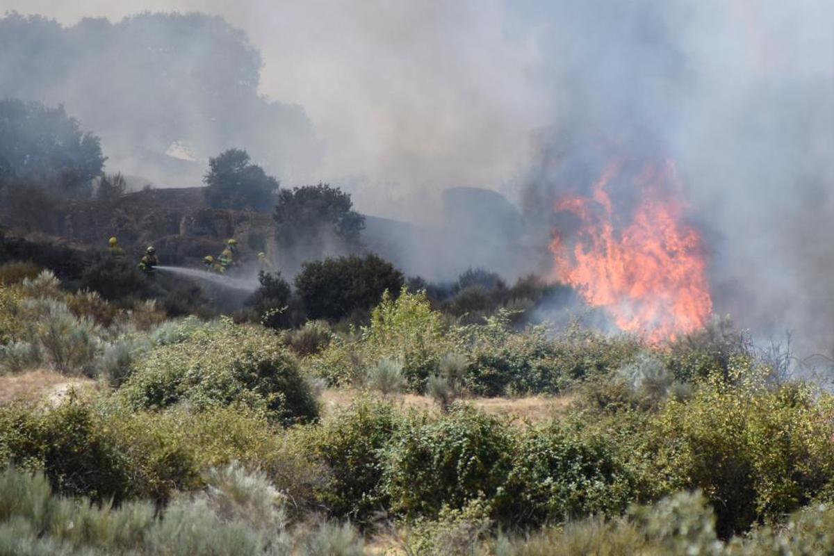 Una cuadrilla lucha contra las llamas en el pasado incendio de San Felices de los Gallegos.