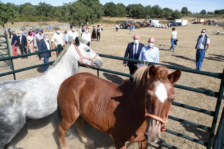 Jesús María Ortiz y Javier Iglesias encabezando la comitiva oficial en la visita a la Feria de San Felipe de Barruecopardo