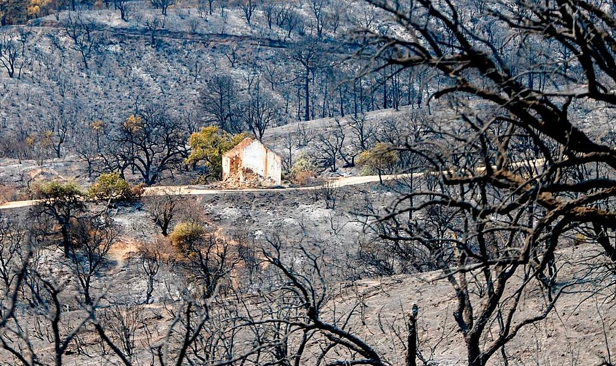 Paraje calcinado por el incendio de Sierra Bermeja
