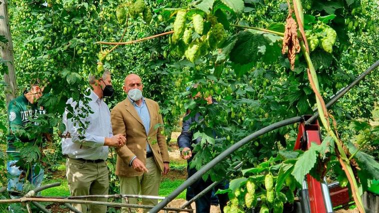 Jesús Julio Carnero visita una explotación de lúpulo