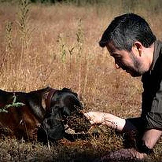 Luis Manuel Jara, que descubrió el rastreo de sangre hace 12 años recechando en los Alpes austríacos, con su perro ‘Taco’.