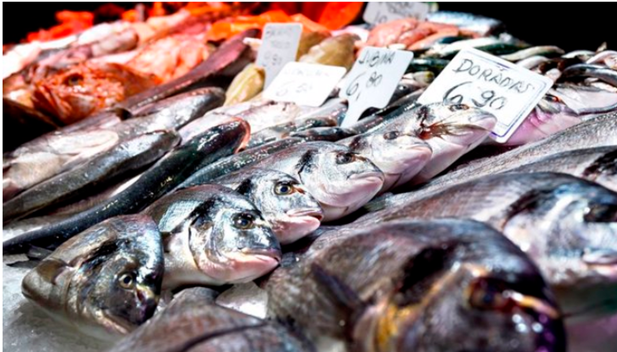 Pescado fresco en una pescadería de Barcelona