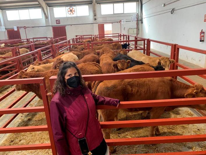 Raquel, con los terneros que llevó al mercado.