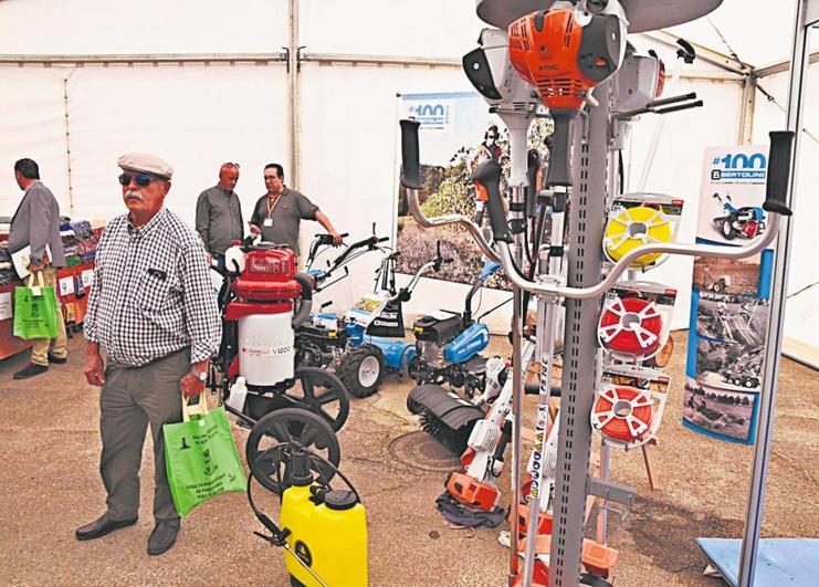 La XIII Feria del Olivar de Vilvestre ofrecerá el próximo sábado ponencias, maquinaria y degustaciones.