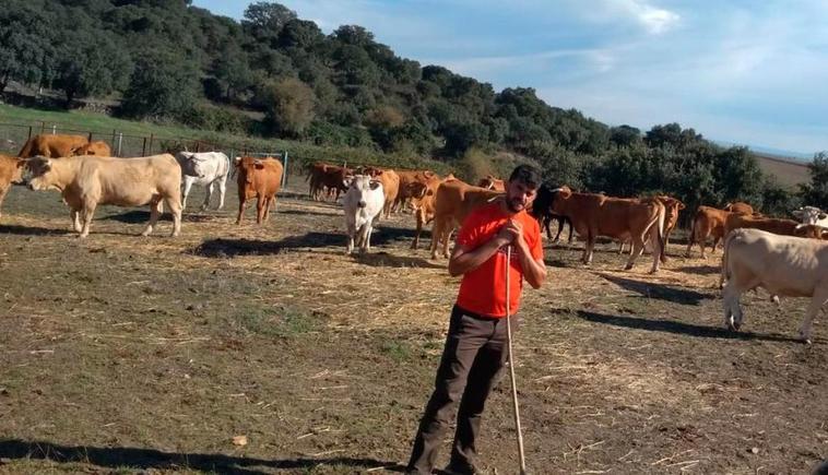 Juanma Benito, que además de criar cerdos, también tiene vacas.