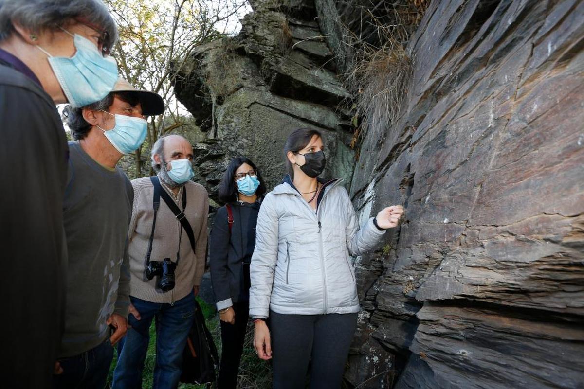 Los descubridores del grabado paleolítico y los expertos de la Universidad de Salamanca que lo han estudiado ante el caballo bicéfalo encontrado en el paraje de La Salud