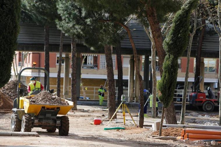 Varios trabajadores arreglan unos jardines.