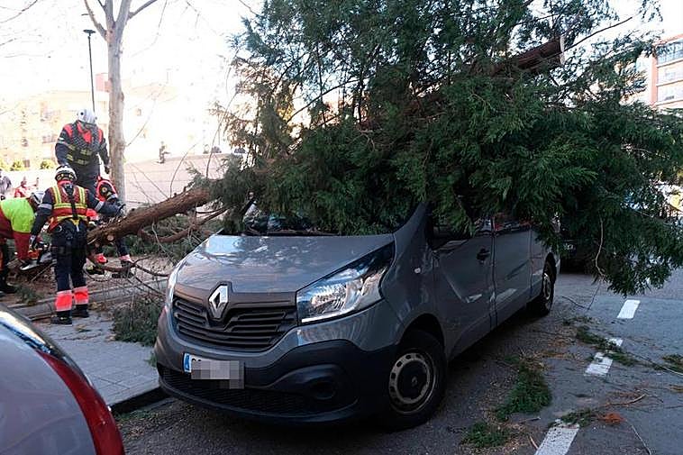 El vehículo aplastado por un árbol en Campoamor el 19 de enero de 2020. I ARCHIVO