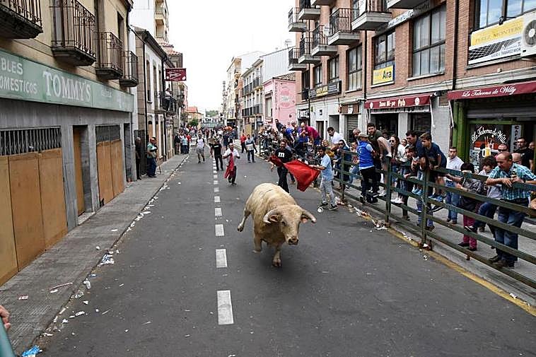 Toro de cajón “Fin de Corpus” organizado por la asociación en 2019. I casamar