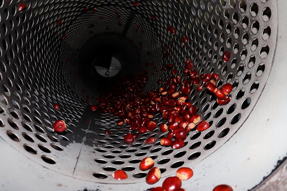 Vista del interior de la calibradora, con las castañas girando.