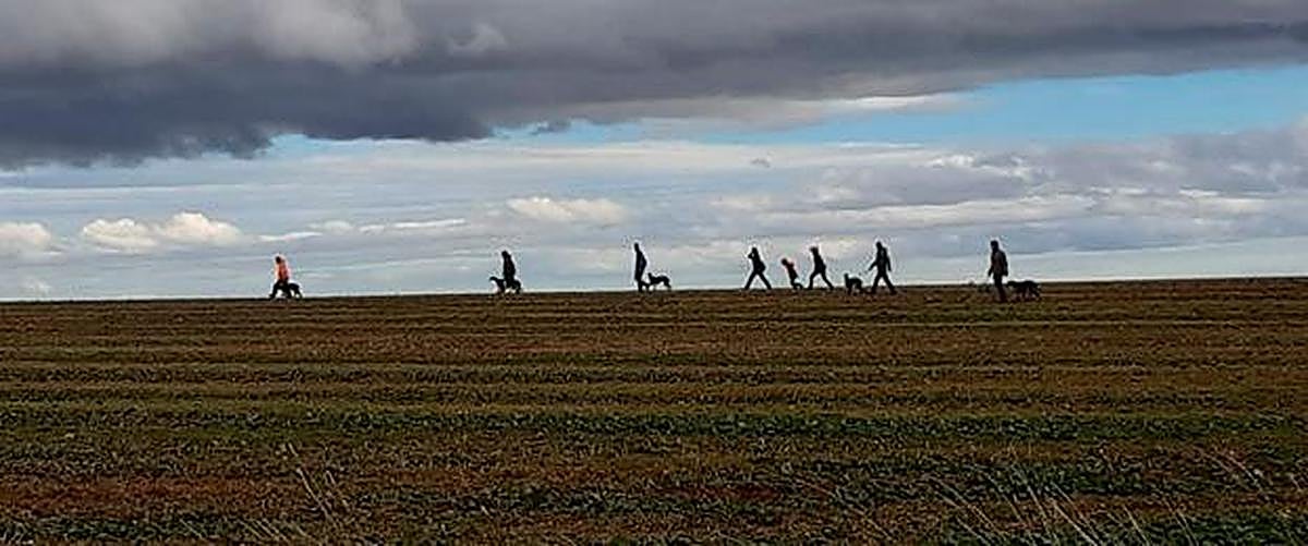Una cuadrilla de galgueros en mano en busca de una nueva carrera
