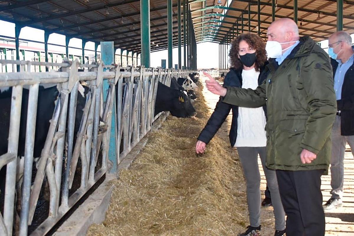 Jesús Julio Carnero