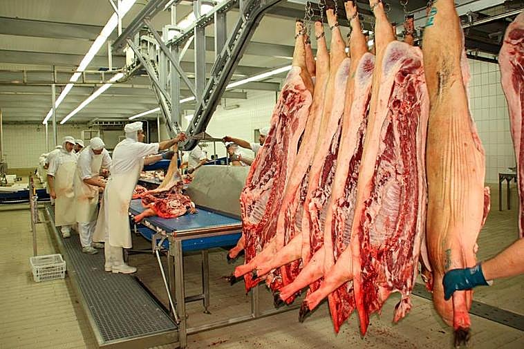 Trabajadores en una empresa cárnica de Guijuelo.