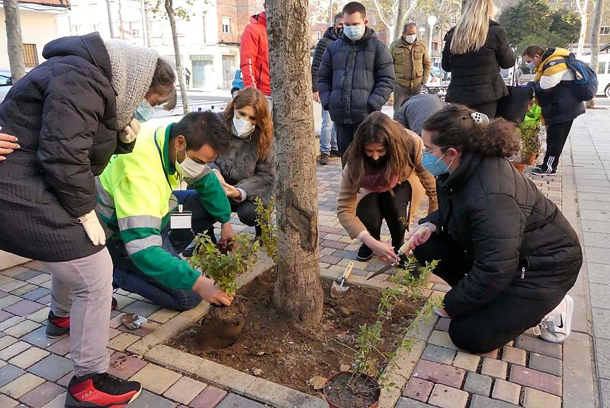 Las ediles Almudena Parres y Miryam Rodríguez plantan en un alcorque
