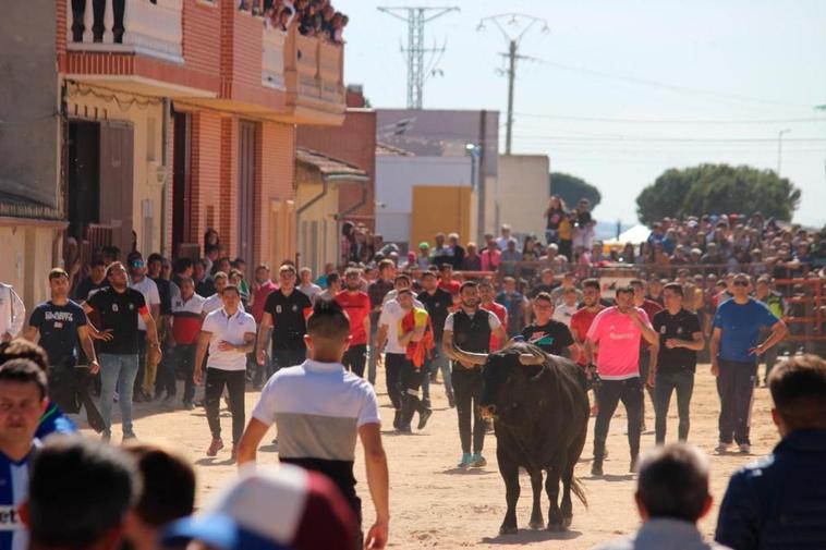 Última edición del Toro del Voto en la primavera del 2019.