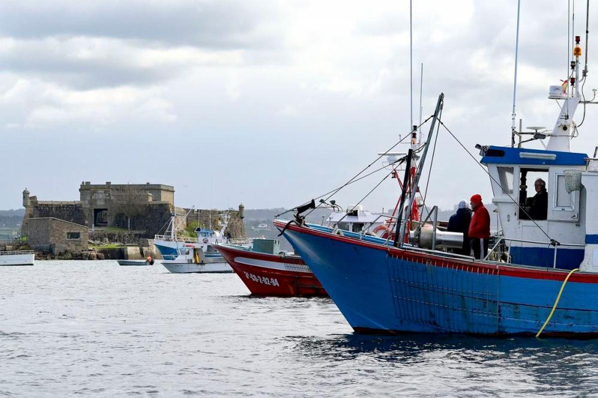 Varios barcos de flota artesanal tras la convocatoria de paro por parte de la Federación Galega de Cofradías de Pescadores.