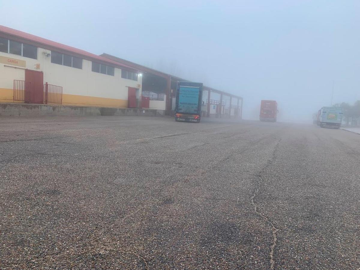 Camiones de transporte de ganado ayer en el mercado bajo la intensa niebla.