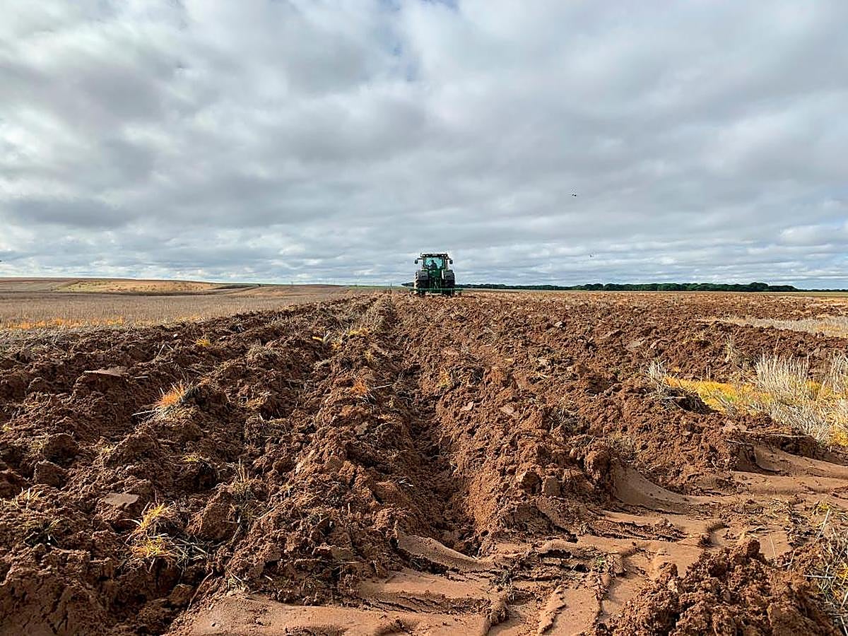 Un agricultor prepara la tierra para la siembra.