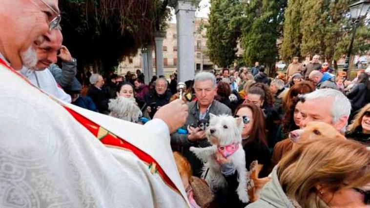 Bendición de mascotas en 2020 en San Antón.