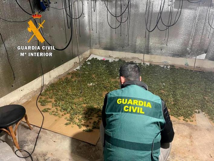 Operación antidroga: tres detenidos y 20 kilos de marihuana incautados en Sancti Spíritus