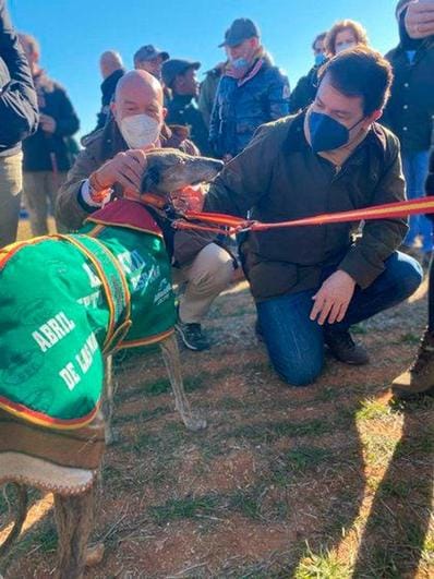 Alfonso Fernández Mañueco en final del Campeonato de España de Galgos en Campo.